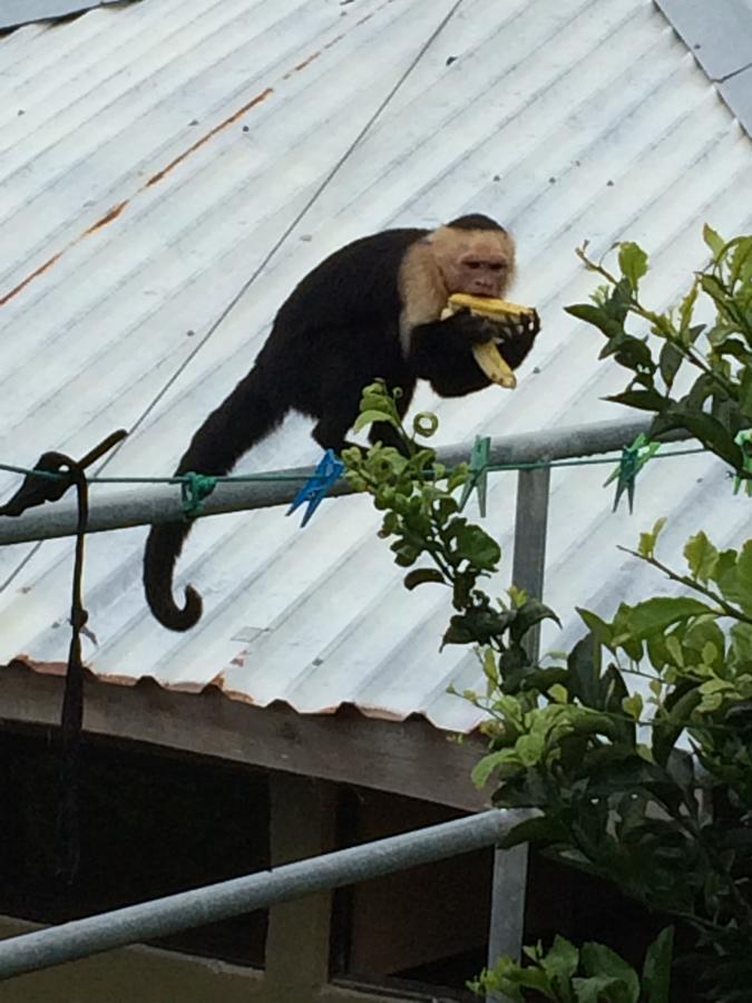 A True B&B Quepos Luaran gambar